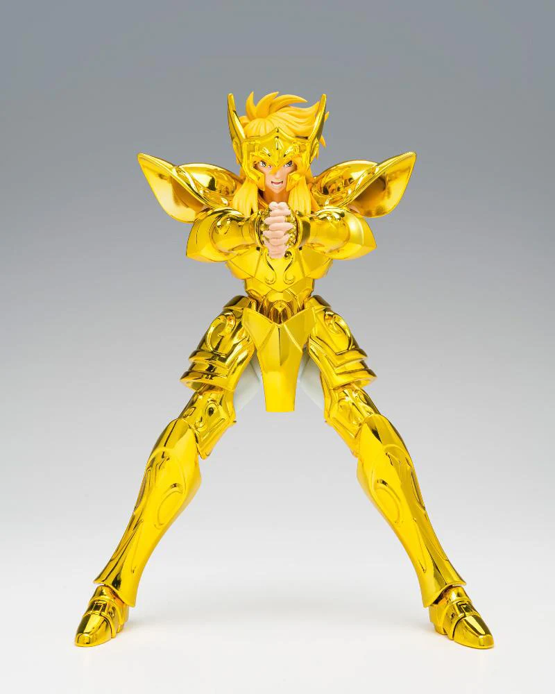 AQUARIUS HYOGA -INHERITOR OF THE GOLD CLOTH-