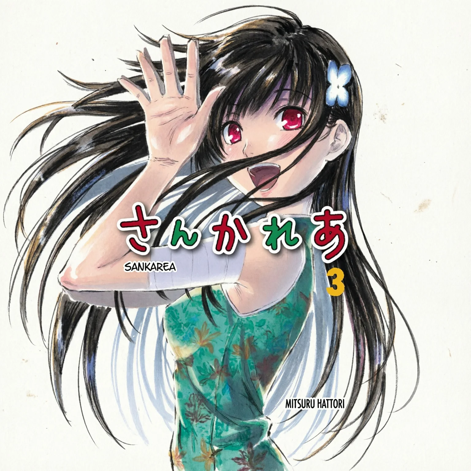 SANKAREA N.3