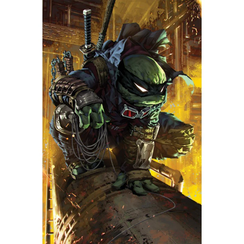 COMIC TEENAGE MUTANT NINJA TURTLES THE LAST RONIN 2H