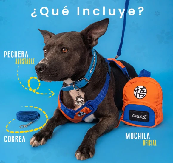 Mochila para perro Goku - Image 3