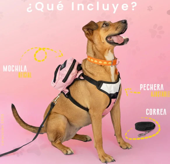 Mochila para perro Majin Boo - Image 2