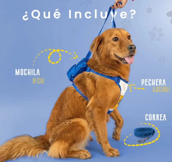 Mochila para perro Vegeta - Image 2