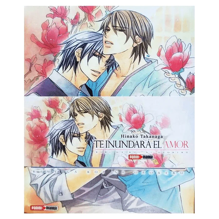 KIMI GA KOI BOXSET (TE INUNDARA EL AMOR)