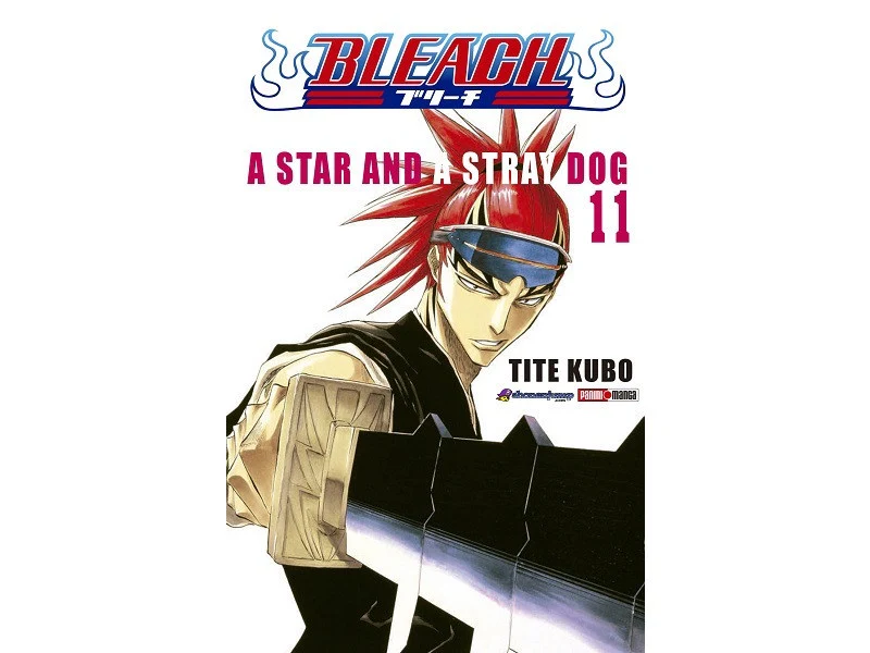BLEACH N.11