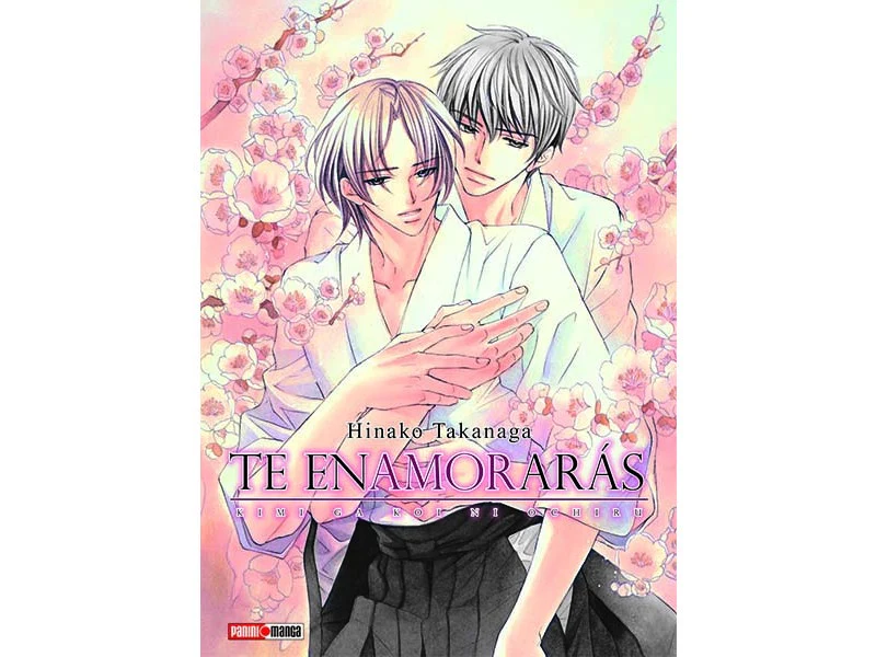 KIMI GA KOI NI OCHIRO N.1 TE ENAMORARAS
