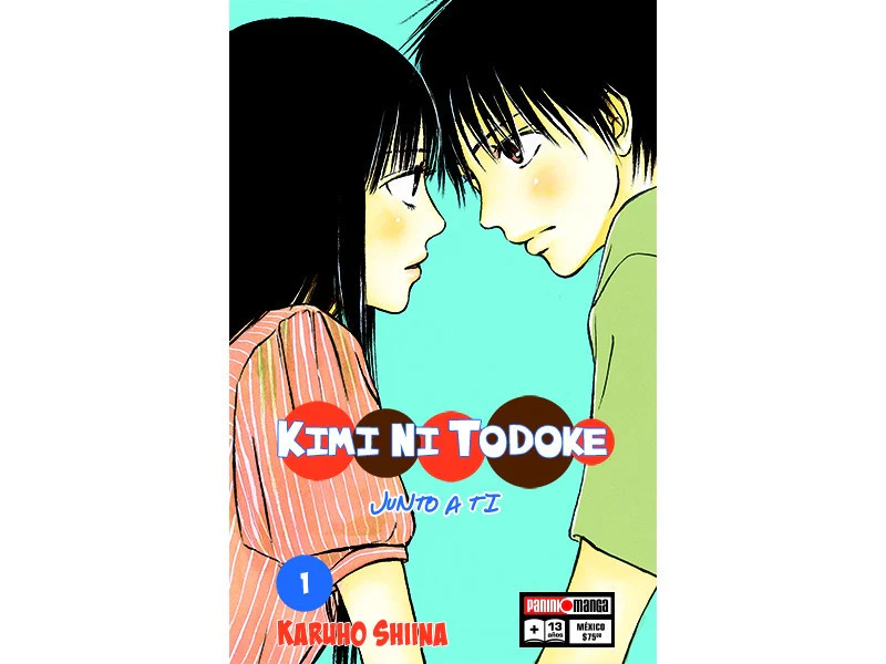 KIMI NI TODOKE N.1